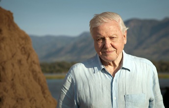 David Attenborough e Nosso Planeta: novo filme da Netflix é um pedido de socorro à Terra